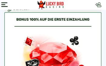 lucky bird casino erfahrungen - Lucky Bird Casino Review (2024) 